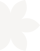 plane