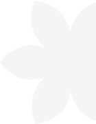 plane