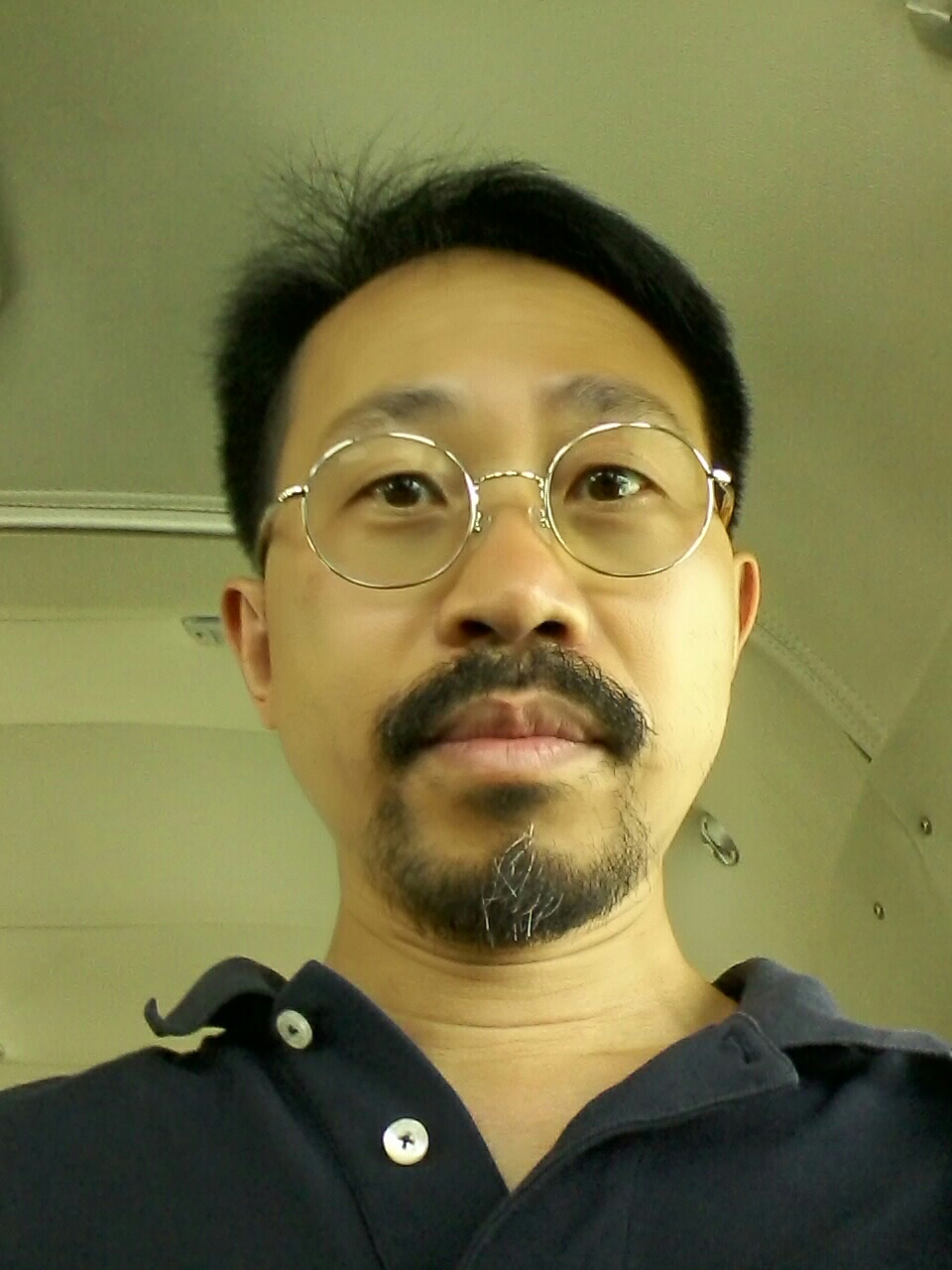 chan tin yau